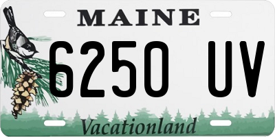 ME license plate 6250UV