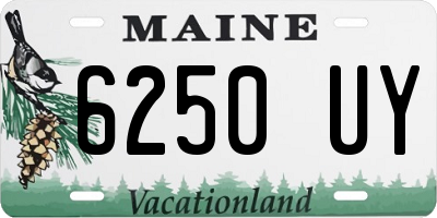 ME license plate 6250UY