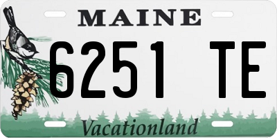 ME license plate 6251TE