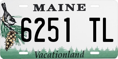 ME license plate 6251TL