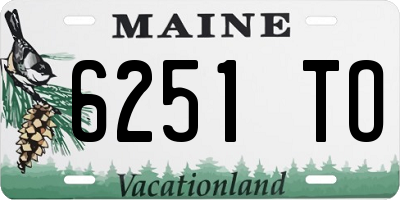 ME license plate 6251TO