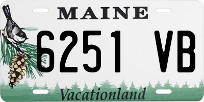 ME license plate 6251VB