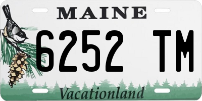 ME license plate 6252TM