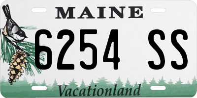 ME license plate 6254SS