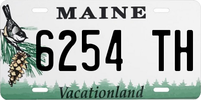 ME license plate 6254TH