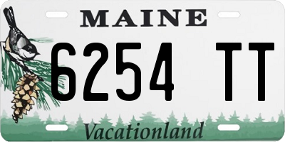 ME license plate 6254TT