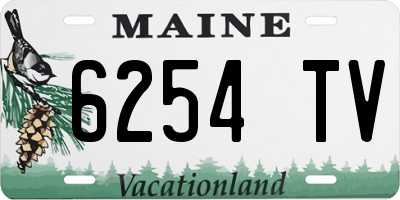 ME license plate 6254TV