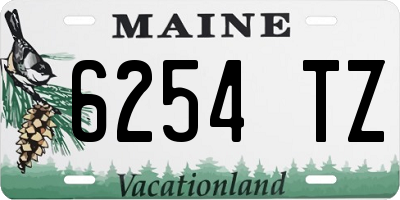 ME license plate 6254TZ