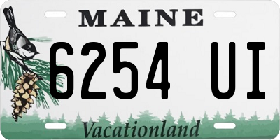 ME license plate 6254UI