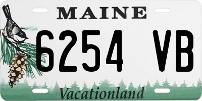 ME license plate 6254VB