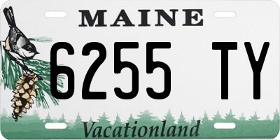 ME license plate 6255TY