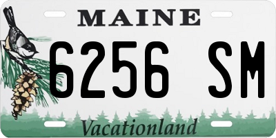 ME license plate 6256SM