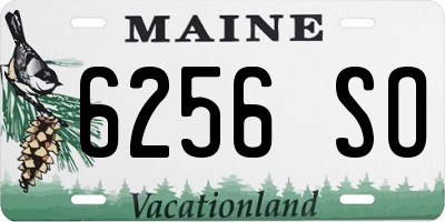 ME license plate 6256SO