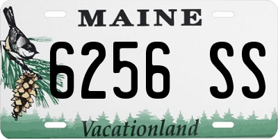 ME license plate 6256SS