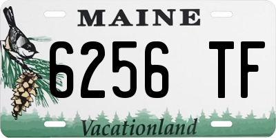 ME license plate 6256TF