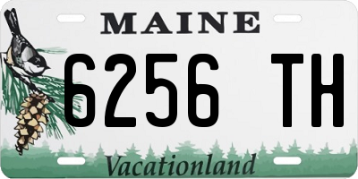 ME license plate 6256TH