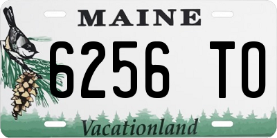 ME license plate 6256TO