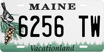 ME license plate 6256TW