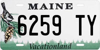 ME license plate 6259TY