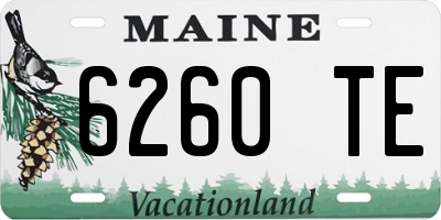 ME license plate 6260TE