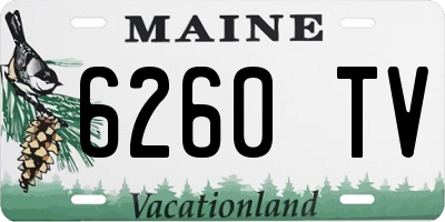 ME license plate 6260TV