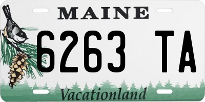 ME license plate 6263TA