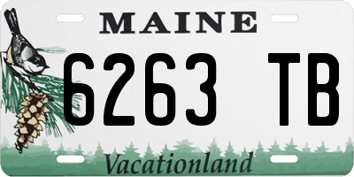 ME license plate 6263TB