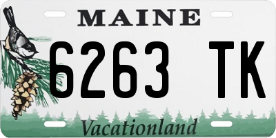 ME license plate 6263TK