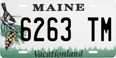 ME license plate 6263TM