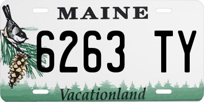 ME license plate 6263TY
