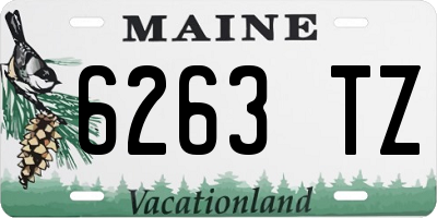 ME license plate 6263TZ