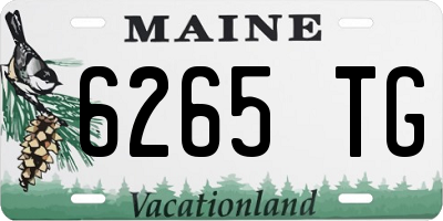 ME license plate 6265TG