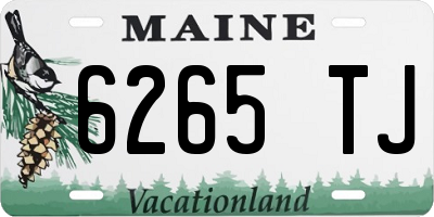 ME license plate 6265TJ