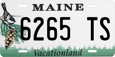 ME license plate 6265TS