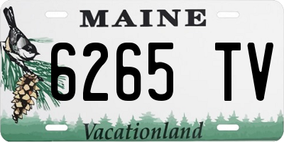 ME license plate 6265TV