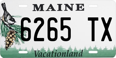 ME license plate 6265TX