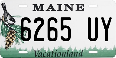 ME license plate 6265UY