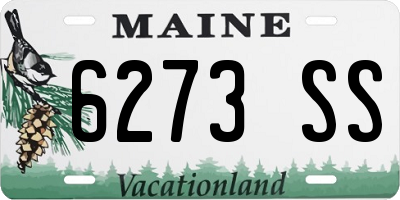 ME license plate 6273SS