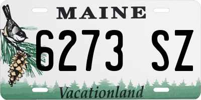 ME license plate 6273SZ