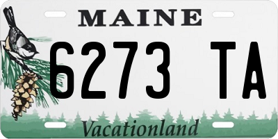 ME license plate 6273TA