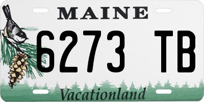 ME license plate 6273TB