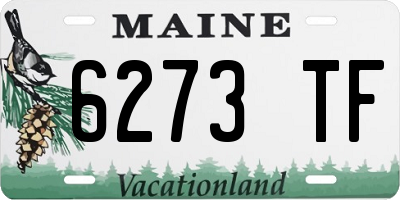 ME license plate 6273TF