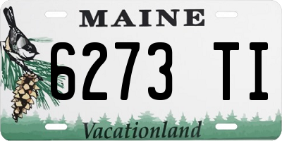 ME license plate 6273TI