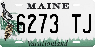 ME license plate 6273TJ