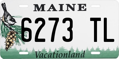 ME license plate 6273TL