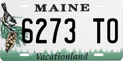 ME license plate 6273TO
