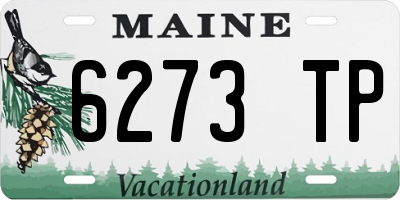 ME license plate 6273TP