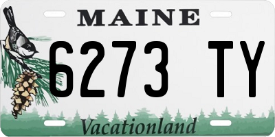 ME license plate 6273TY