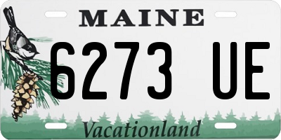 ME license plate 6273UE