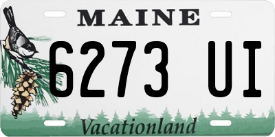 ME license plate 6273UI